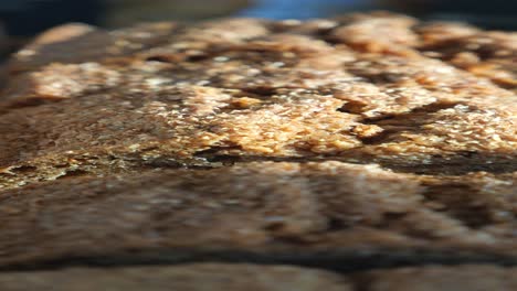 close-up of a loaf of whole wheat bread