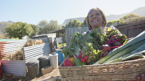 Retrato-De-Una-Feliz-Mujer-Birracial-Mayor-Sosteniendo-Una-Canasta-Con-Verduras-En-Un-Jardín-Soleado,-Cámara-Lenta