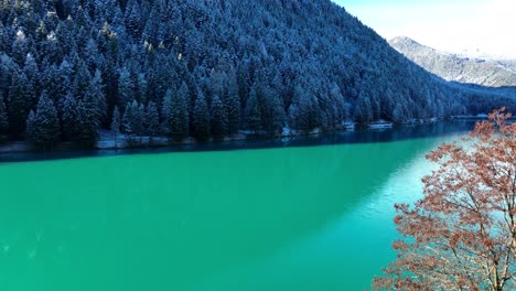 drone aerial view of lake in the alps and forest with snow in winter