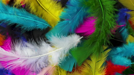 pile of brightly colored, fluffy feathers