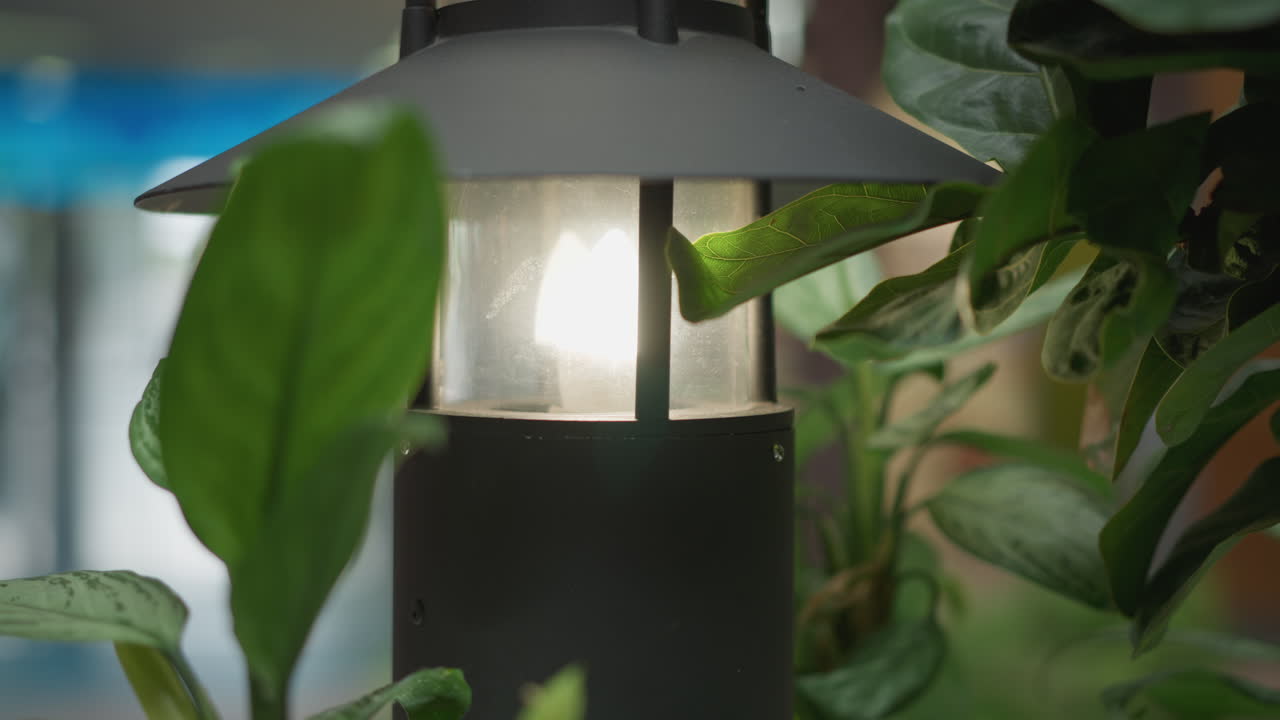 primer plano de una lámpara al aire libre rodeada de vegetación vibrante con un fondo suave y borroso con sutiles glitches de luz azul, iluminación ambiental suave, que evoca la calma y la belleza natural