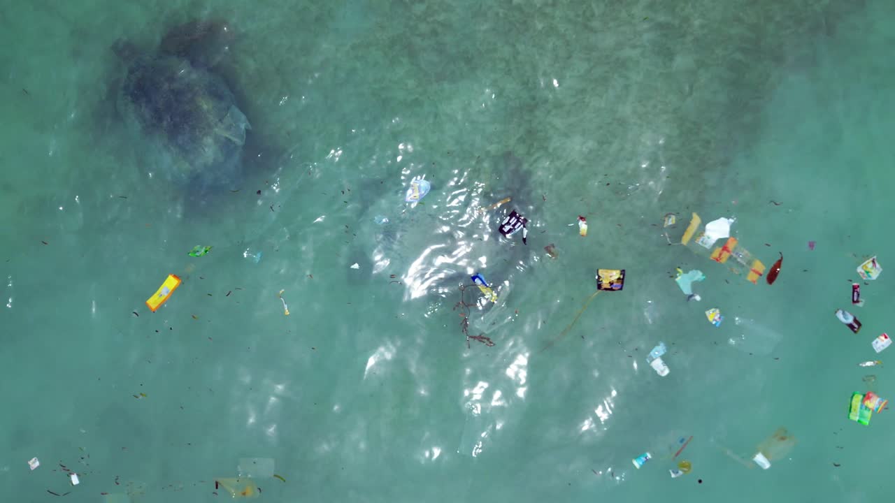 Duas tartarugas marinhas navegando por água oceânica significativamente poluída, destacando a poluição marinha por plástico e o impacto ambiental. Vista aérea perfeita de drone, de cima para baixo.