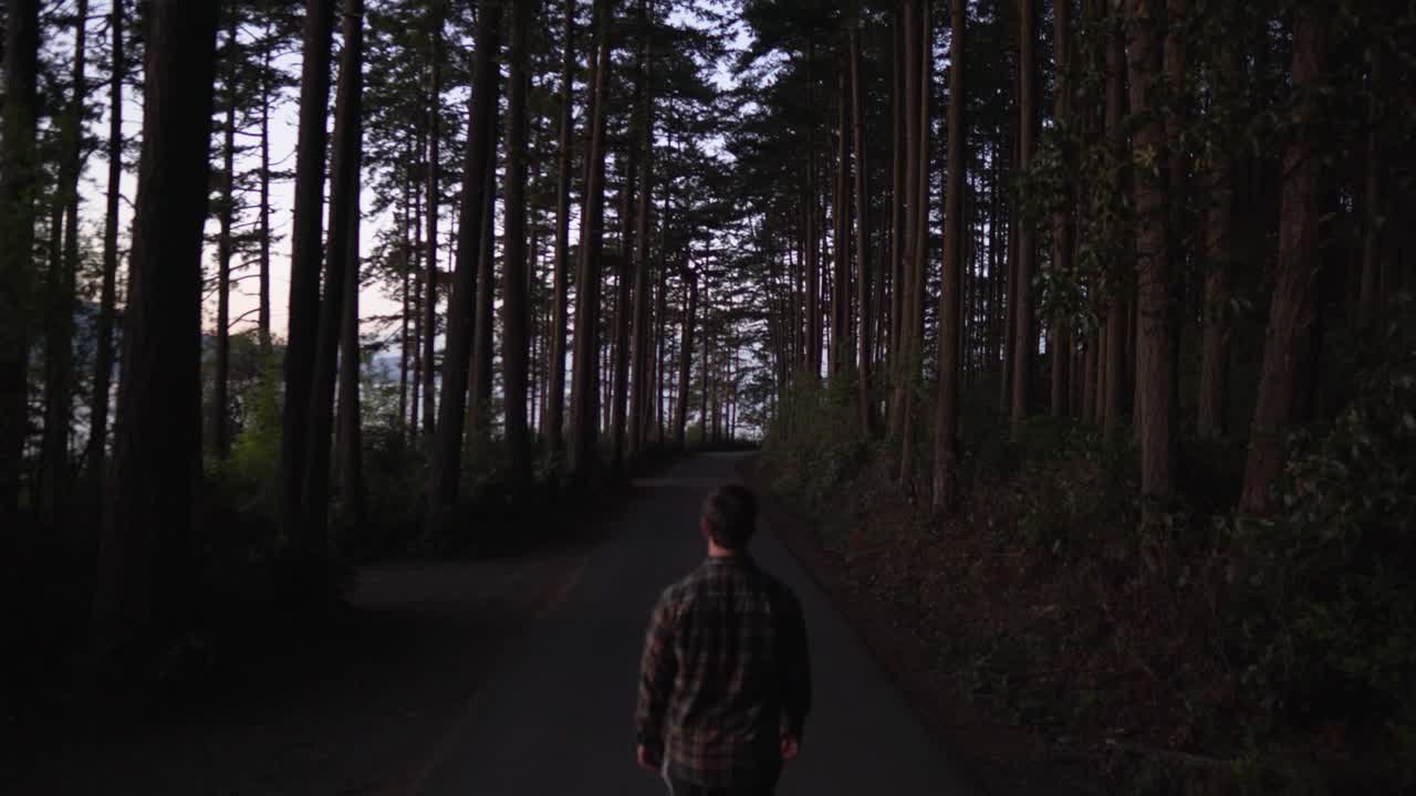 Back View Of A Man Walking At The Mountain Path Through Dark Forest. - rear shot, ascend