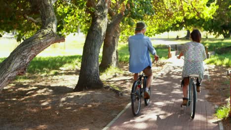 couple riding bicycle 4k