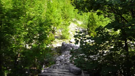 Wooden-bridge-over-stream-on-hiking-path-to-mountains-in-Albanian-Alps