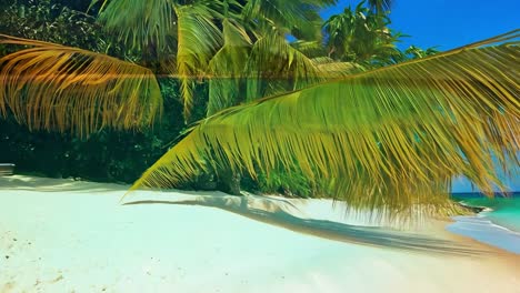 el paraíso de las playas tropicales