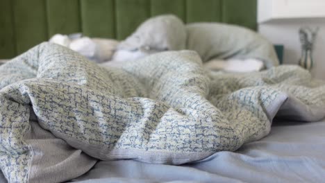 cama sin hacer en un dormitorio