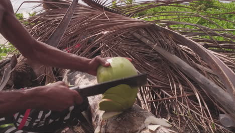 un hombre preparando un coco en la playa