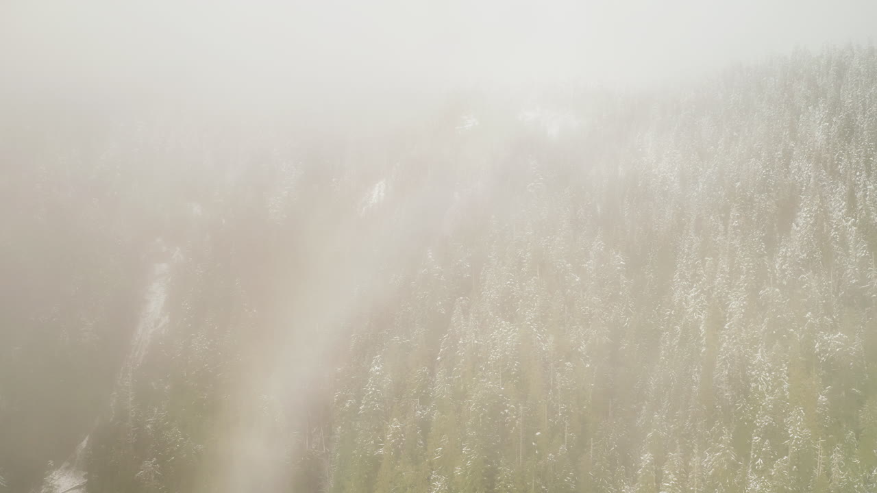 올림피크 반도 (올림픽 반도, 워싱턴, 미국) 에서 겨울에 눈이 쌓인 울불한 숲 위에서 구름과 안개를 날아다니며