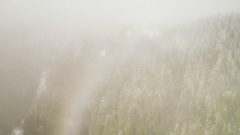 Flying-Through-Clouds-And-Fog-Over-Dense-Forest-With-Snow-In-Winter-In-Olympic-Peninsula,-Washington,-USA