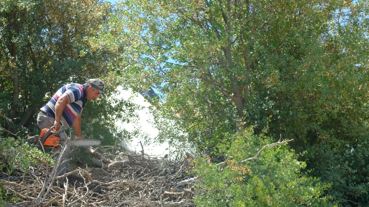 Man cutting wood with chainsaw forest