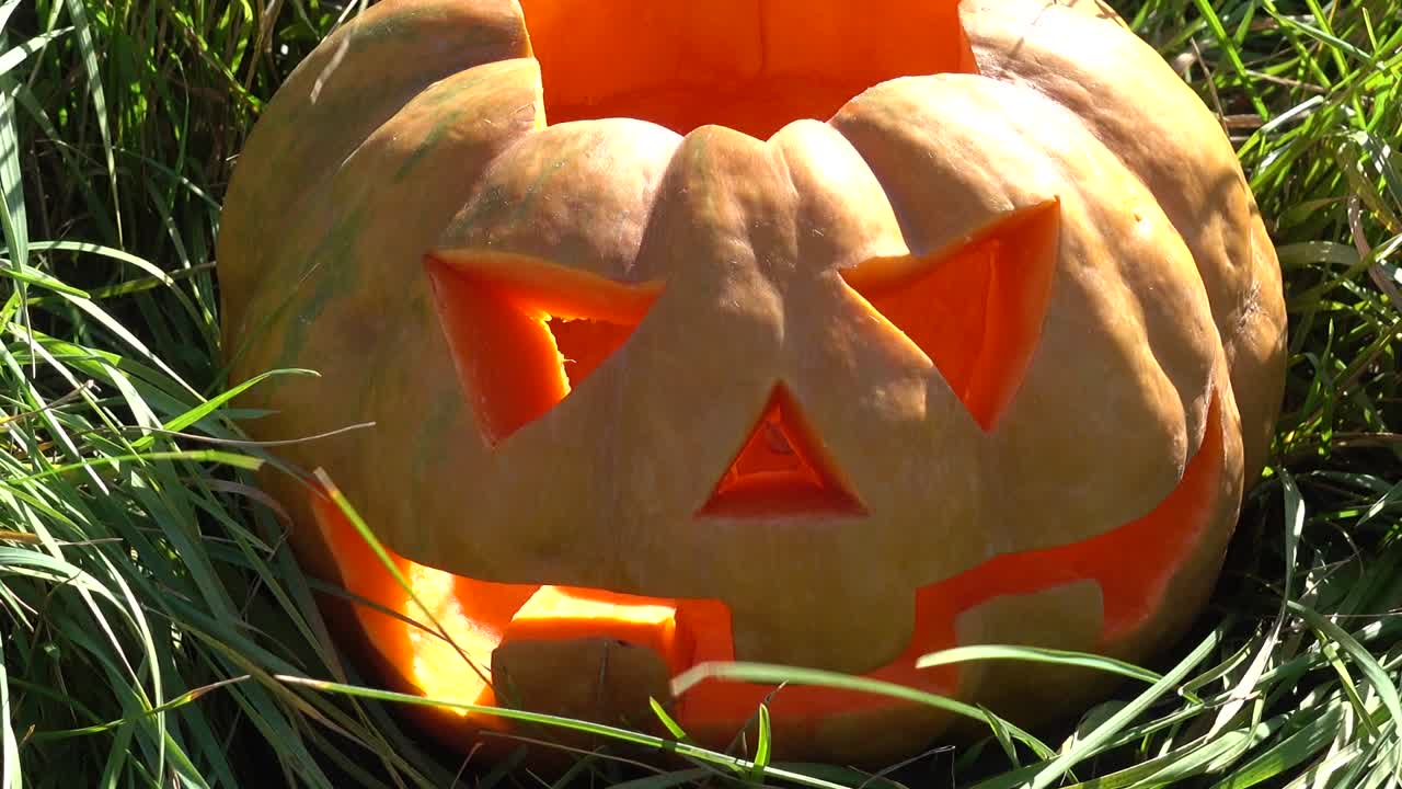 Calabaza espeluznante de Halloween. Rodaje en octubre.
