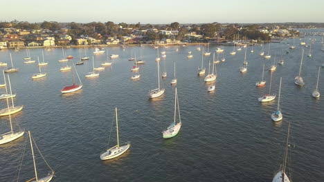 aerial view over lots of sailing yachts moored off of the coast of sydney