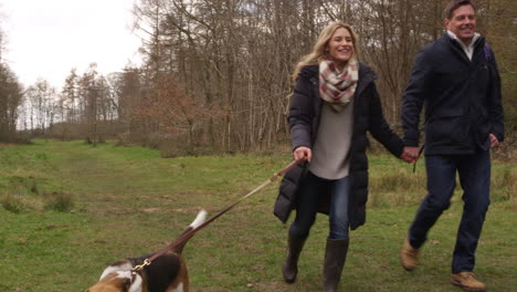 Family-of-four-with-pet-dog-walking-in-woods,-shot-on-R3D