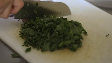 chef chopping green vegetables on a cutting board