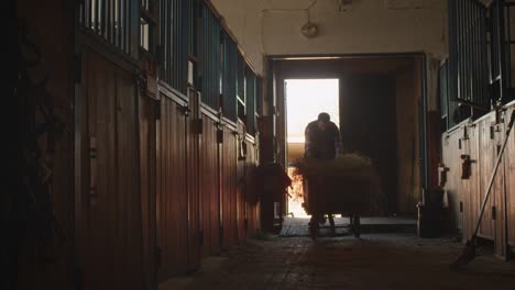 man is rolling a cart with hay into a stable in order to feed horses.