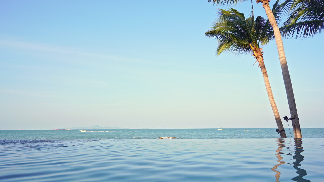 열대 휴가의 파란색 음영, 인피니티 풀, 맑은 하늘 아래 바닷물, 코코넛 나무의 산들바람, 복사 공간이 있는 정적