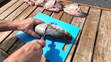 step-by-step demonstration of fish filleting outdoors