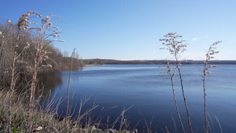 在 yamaska 國家公園拍攝的畫面