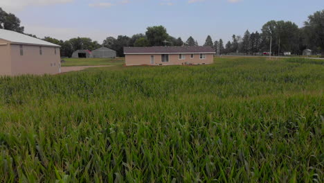 Midwest-farm-house-by-field-of-crops-aerial-4k