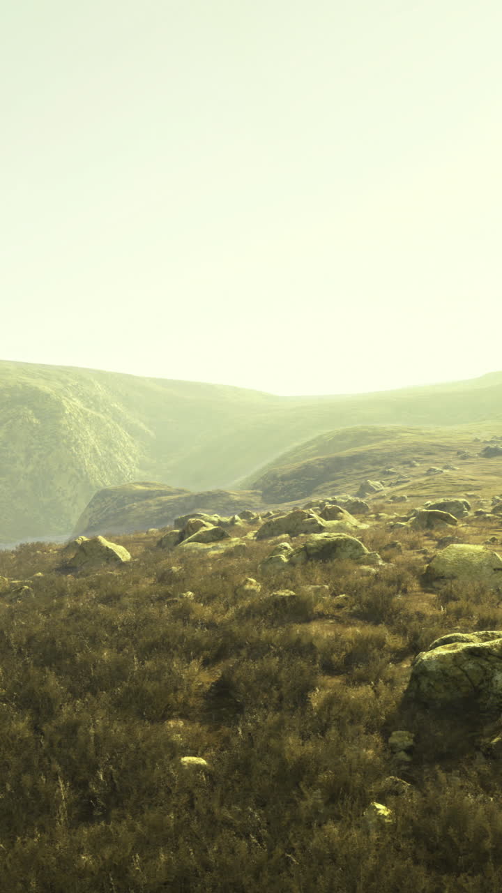 Lush green landscape under bright sunlight in a serene mountainous area