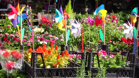 flores coloridas y ruedas en un puesto de mercado