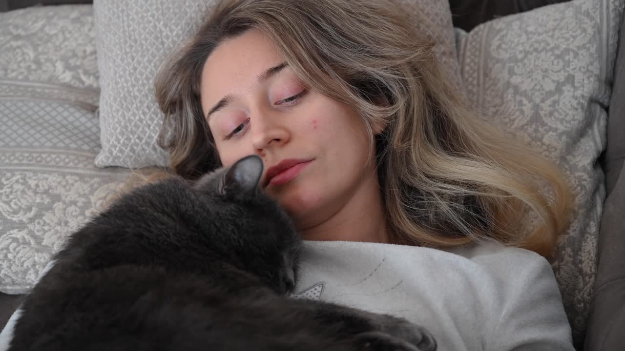 A grey British shorthair cat cuddling with a woman in bed
