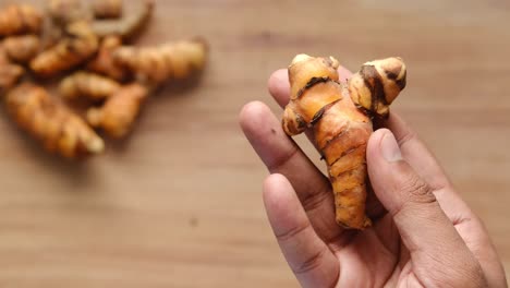 hand holding a piece of turmeric