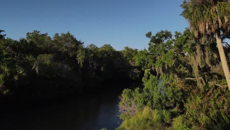 vista aérea de una exuberante marisma verde con una vía fluvial, el parque estatal terra ceia, florida