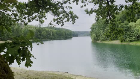 See-Mit-Eiche-Innvodergrund-Und-Bewaldetem-Ufer-In-Deutschland-Mit-Bewölktem-Himmel