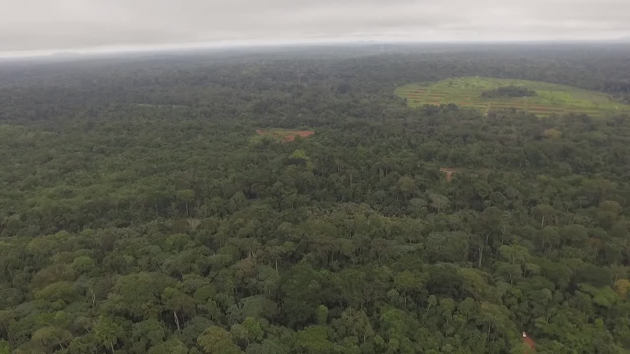 en esta toma se puede ver una gran parte del nanga del bosque mientras el dron vuela por encima del bosque.
