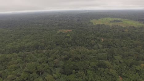 a large section of the forest nanga can be seen in this shot as the drone flies high above the forest