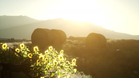 hay-bales-in-the-sunset