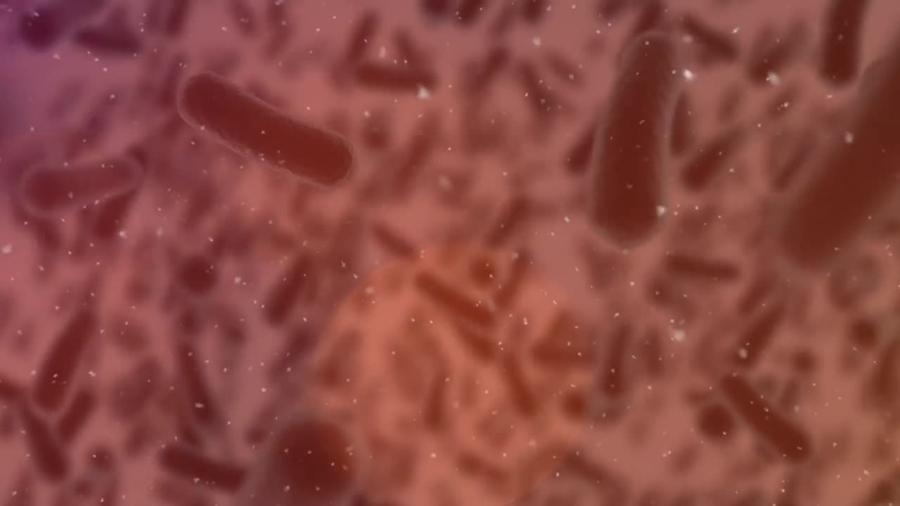 animación de células en movimiento sobre fondo rojo