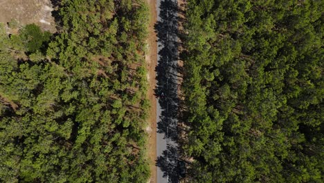 Luftaufnahmen-Von-Zwei-Personen,-Die-Auf-Einer-Asphaltierten-Straße-Durch-Einen-Kiefernwald-Radeln