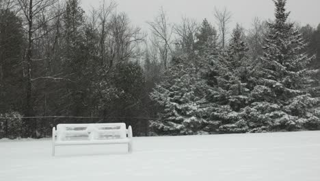 park bench in suburbs forest backdrop heavy snowfall environment