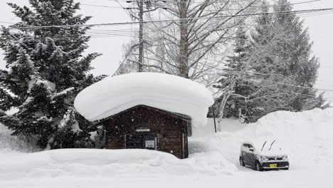 Schneefall-Mit-Der-Hand-Aufgenommen