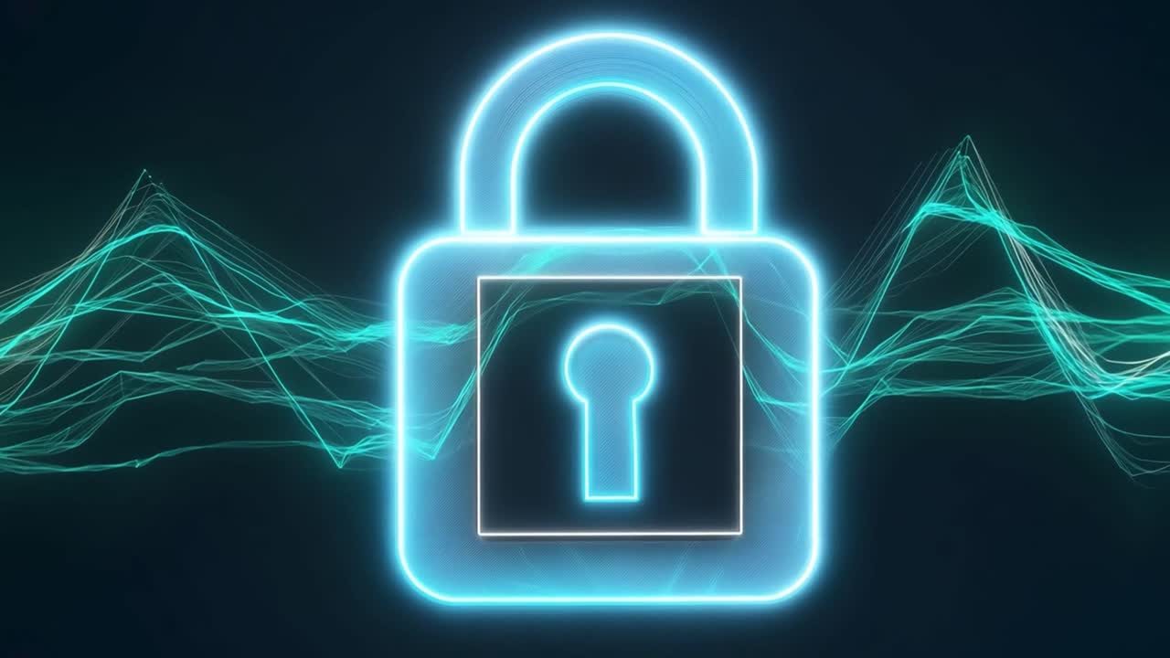 Digital Security Padlock