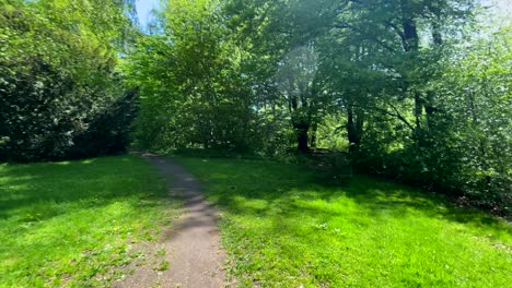 Auf-Dem-Weg-In-Einem-Grünen-Park