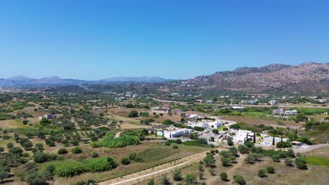 green forest in rhodes with seaside in the background in greece during the summer filmed with the drone in 4k