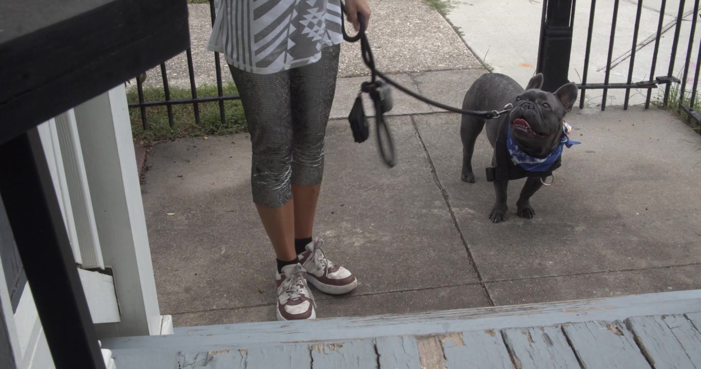 Donna in abiti casual porta a spasso un bulldog francese al guinzaglio fino a un piccolo portico anteriore su un vialetto di cemento