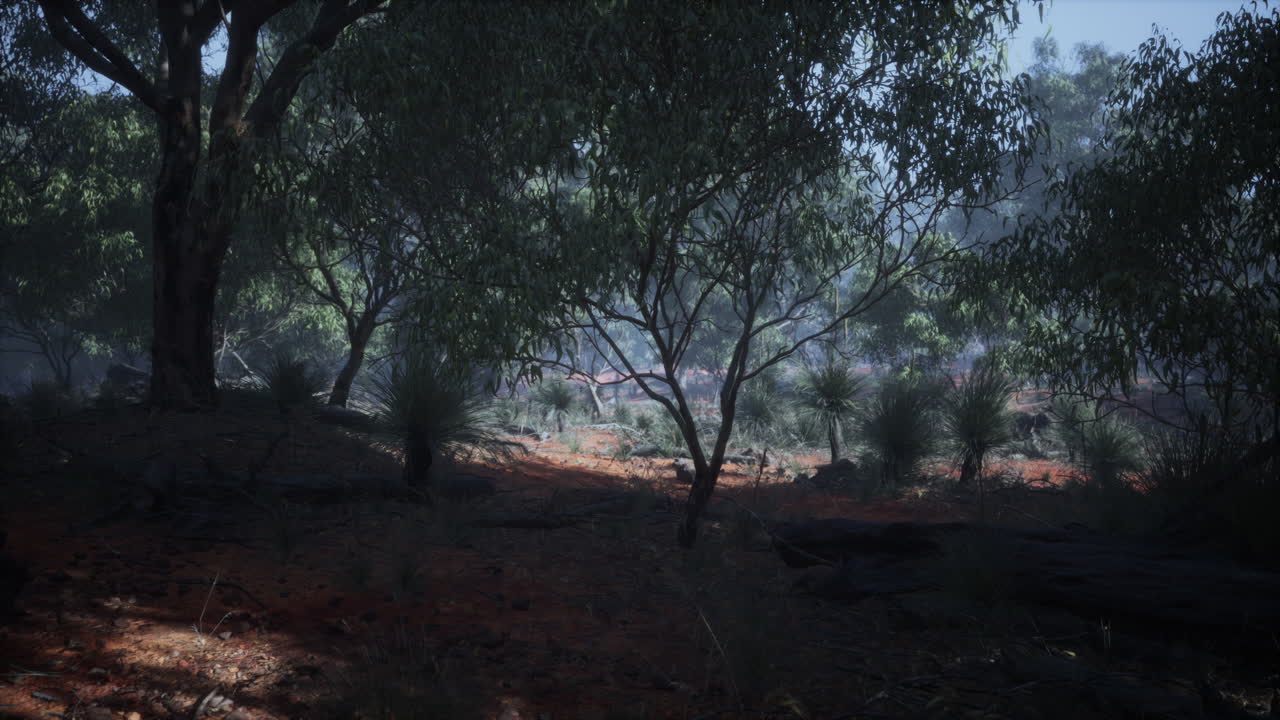 el interior de australia con árboles y arena amarilla