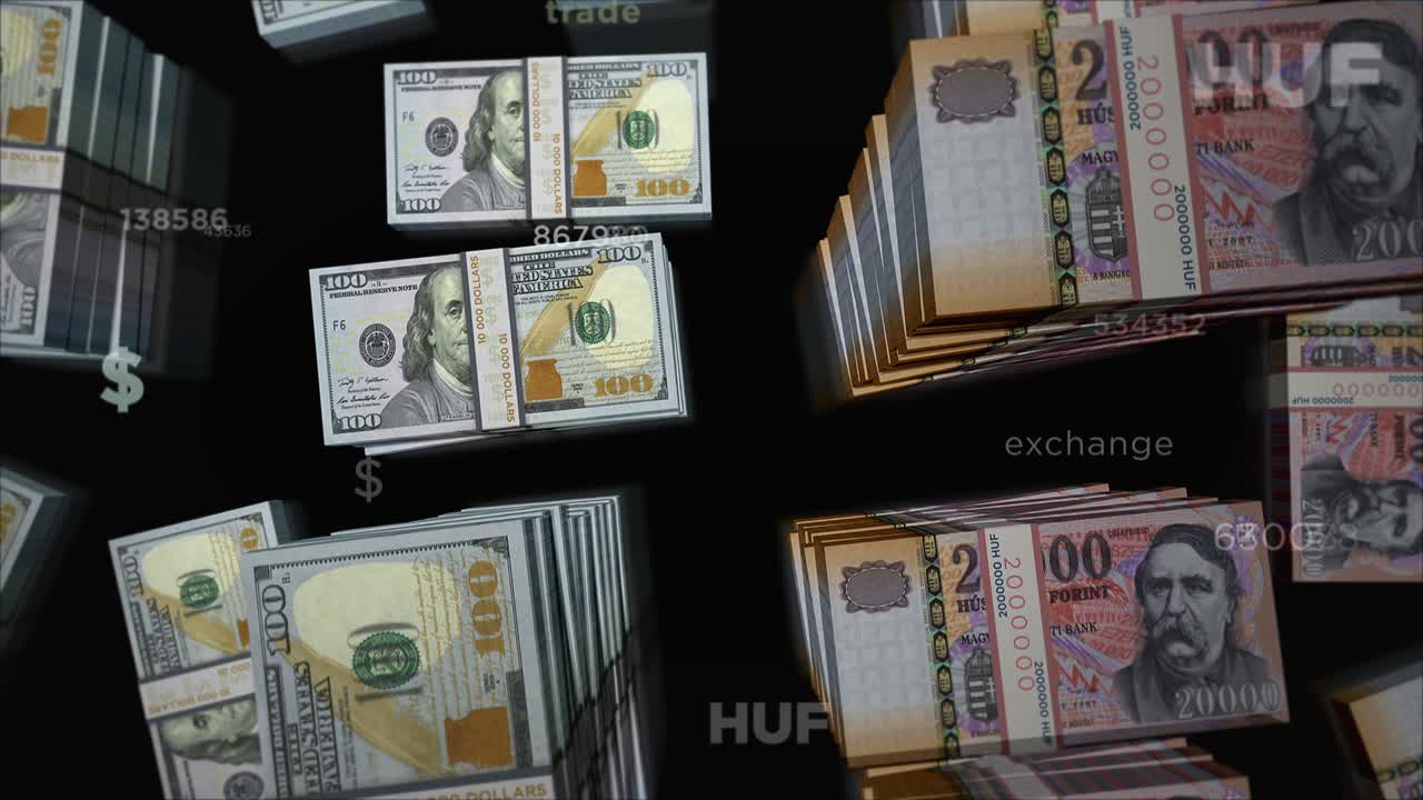 가리 포린트 화폐 교환 루프 애니메이션