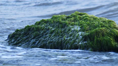 El-Agua-Se-Precipita-Sobre-La-Roca-Cubierta-De-Musgo