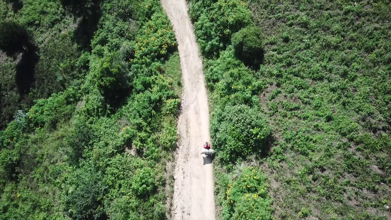 커피 콩은 우간다 시골에서 운송되고 있습니다.