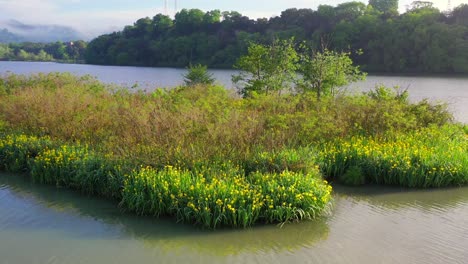 tiber farfa nature reserve, nazzano, lazio, italy.