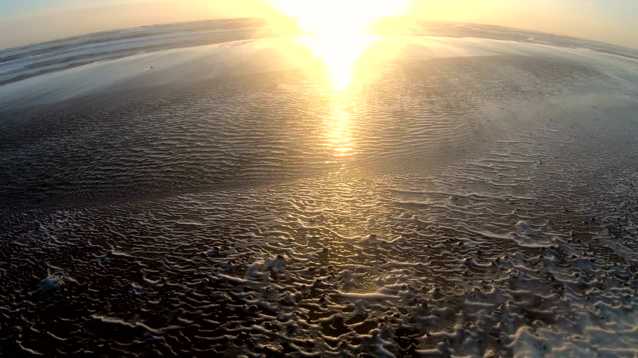 espuma de algas en tormenta en la playa, playa de arena con olas, mar del norte, jutlandia, sondervig, dinamarca, 4k