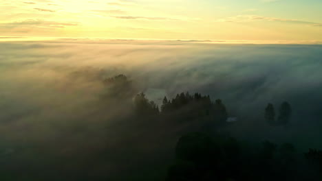 foggy clouds forest, thick fog on top of pine tree canopy, aerial sunset