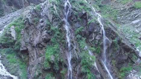 primavera en el cinturón del himalaya indio superior, uttarakhand, india