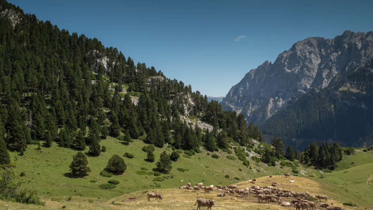 Pedraforca Pan 02